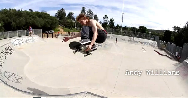Spot Check: Avalon Skatepark