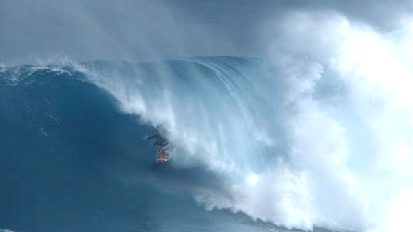 Albee Layer Tames Jaws