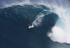 Typhoon Nuri Meets Jaws