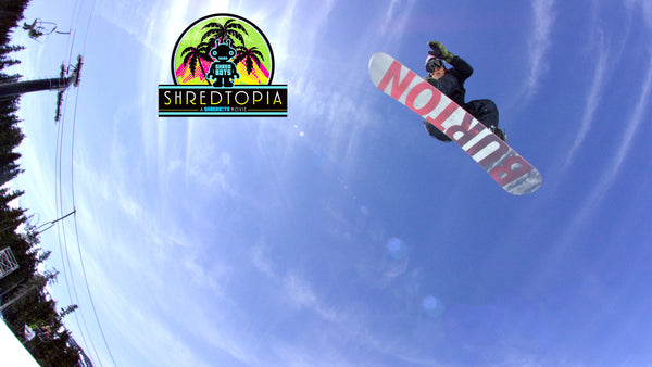 Shredtopia: Wiz-Bear