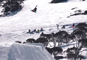 Shredbots: Bangerz Down Under