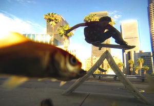 Fisheye: Russell Houghten