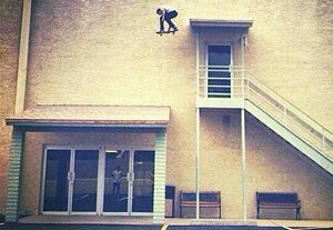 Jaws: The Junkyard Baby