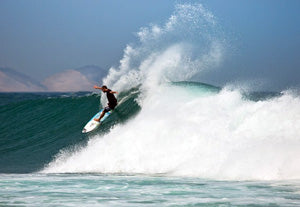 Torrey Meister: Mainland Mexico