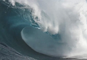 Shipstern Tranquillity