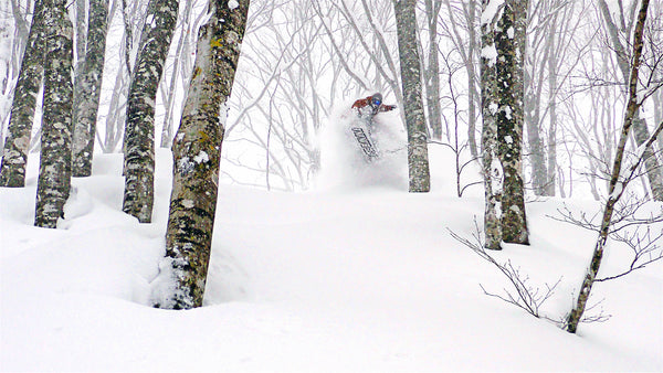 Snorkel Squad: Hakuba Cortina Trees