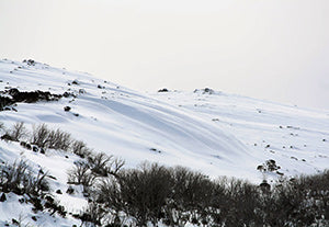 Hitting the Snow at a Moment's Notice