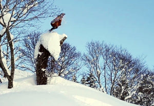 Will Jackways in Japan