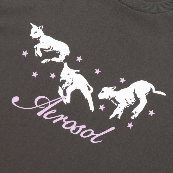 Aerosol Frolic T-Shirt - Grey
