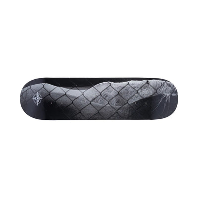 Pass~Port Steed 8.5" Skateboard Deck